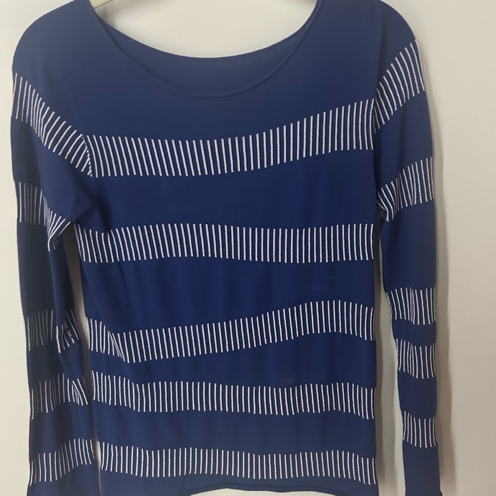 Armani Collezioni Blue and White Striped Long Sleeve Top